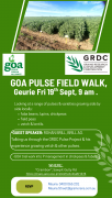 GOA PULSE FIELD WALK, Geurie Fri 19th Sept, 9 am.