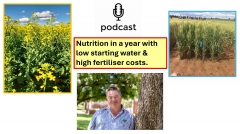 PODCAST: Nutrition in a year with low starting water & high fertiliser costs.